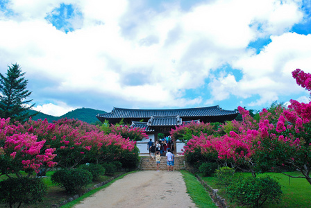 韩国的夏季。在森林里寺