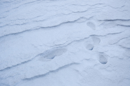 雪详细信息