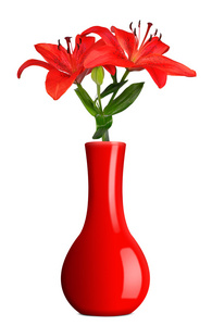 莉莉在红色花瓶