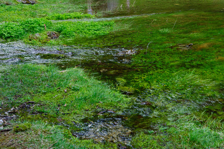 Green lake Grner see in Bruck an der Mur, Austria