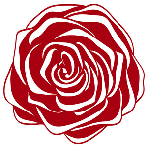 抽象的红色和白色的玫瑰花.很多相似之处作者简介照片