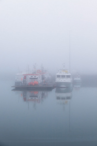 在有雾雾的早晨在港的渔船