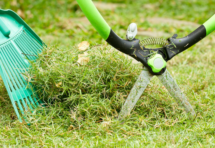 新鲜地剪草的剪刀