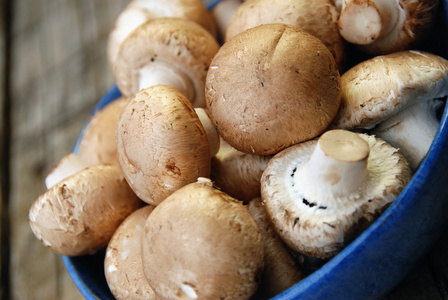 在碗里的蘑菇