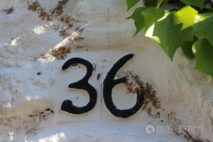 数字36数字