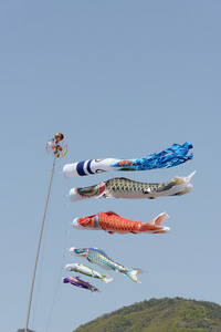 日本鲤鱼风筝日本鲤鱼风筝鱼形风筝对蓝蓝的天空日本鲤鱼风筝日本鲤鱼