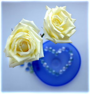 两个白色的玫瑰用从玻璃珠蓝色玻璃盘子上的一颗心