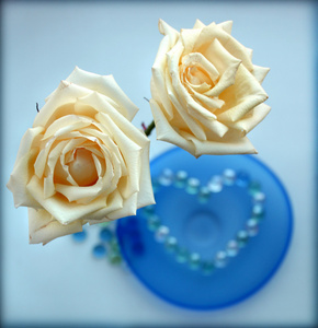 两个白色的玫瑰用从玻璃珠蓝色玻璃盘子上的一颗心