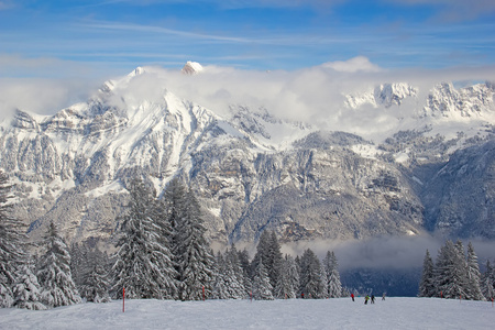 在阿尔卑斯山滑雪