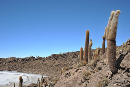 玻利维亚印加 salar de，乌尤尼盐湖岛