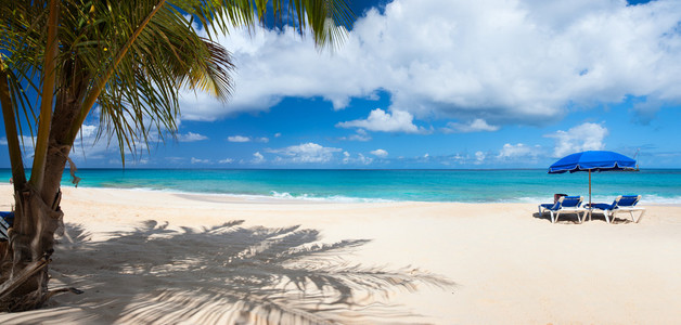 一个美丽的加勒比海滩的全景