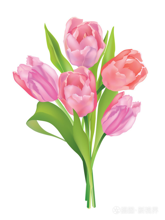 孤立的郁金香花束