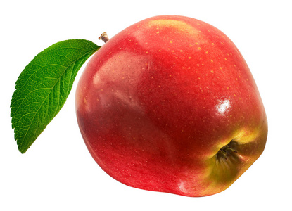 熟透的红苹果，用一片树叶。在白色背景上孤立