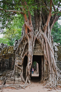 古代高棉文明，吴哥窟复杂，柬埔寨的寺庙