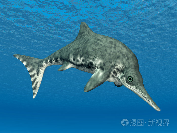 鱼龙stenopterygius