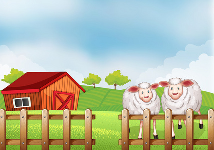 木栅栏与一个谷仓里面的羊