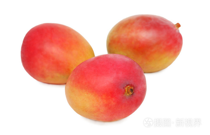 在白色背景上的三个成熟的芒果