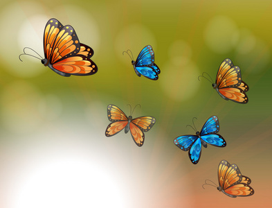 一份特别文件，橙色和蓝色的蝴蝶
