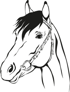 辔的马海鸠边上devn most标准的设得兰群岛小马鞍架的马两只白眉的