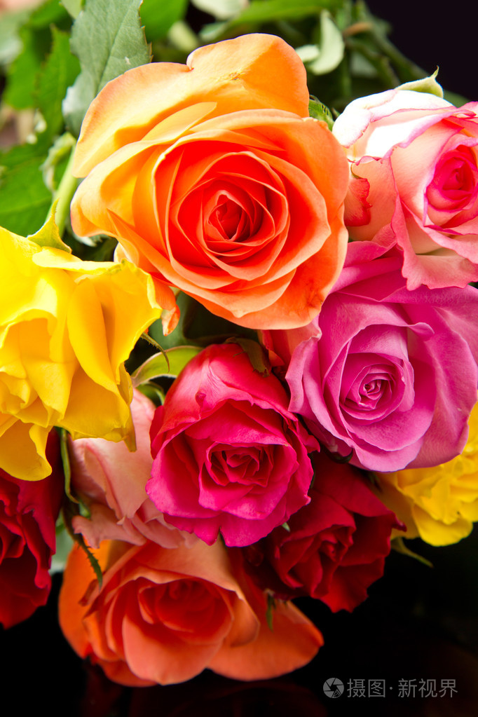 白色背景上的七彩玫瑰花束