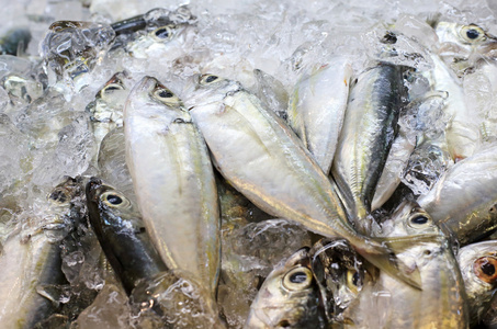 新鲜的鱼海鲜市场