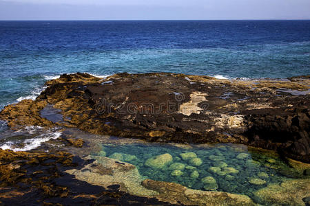 海藻 泻湖 岩石 海滩 脚步 夏天 自然 旅游业 热带 天空