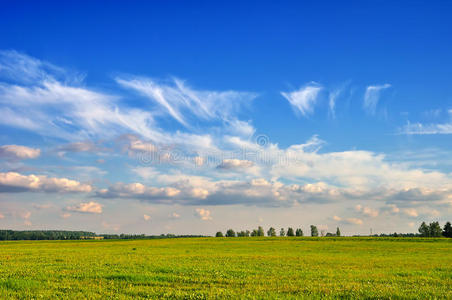 夏季景观