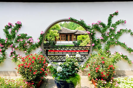 房子 后院 杭州 园艺 花园 住房 风景 环境 中国人 亚洲