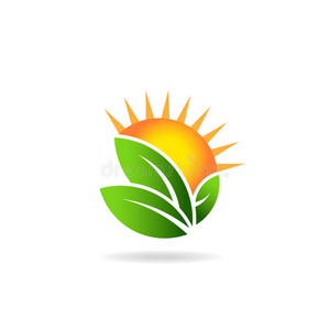 保护 颜色 插图 形象 艺术 天气 太阳 削减 偶像 植物