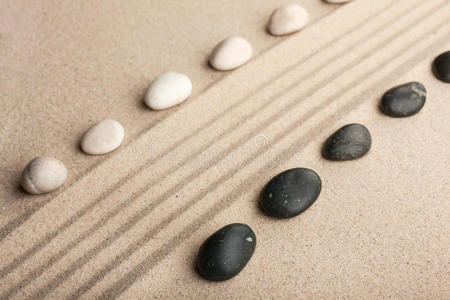 一条条黑白相间的石头躺在沙滩上