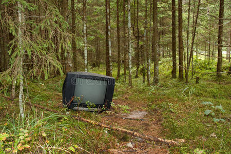 森林里的电视