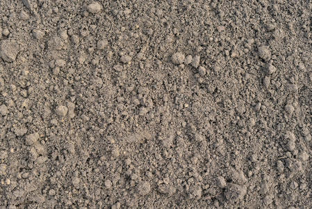 耕作棕壤表层照片