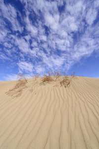 死亡谷的沙丘