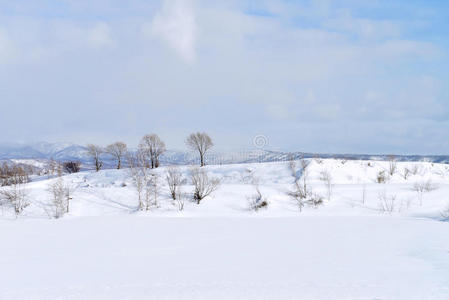 冬季景观