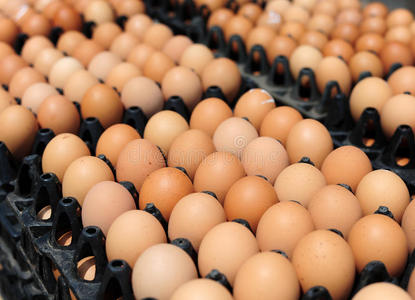 箱鸡蛋图片