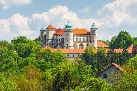 nowy wisnicz castle，波兰