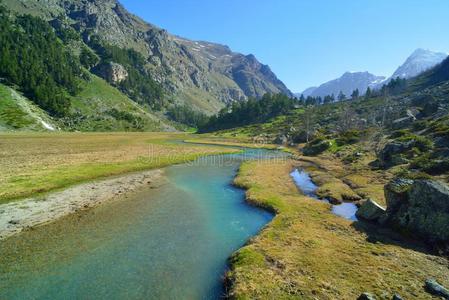 高加索山谷