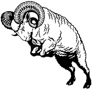 白羊座黑白照片