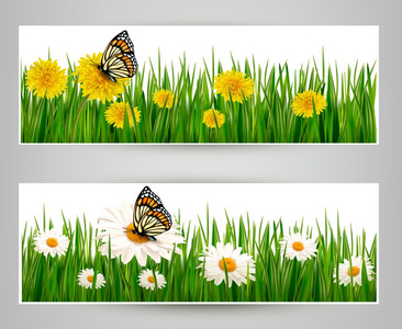 蝴蝶与花的两个横幅。矢量