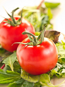 意大利领料沙拉配新鲜番茄