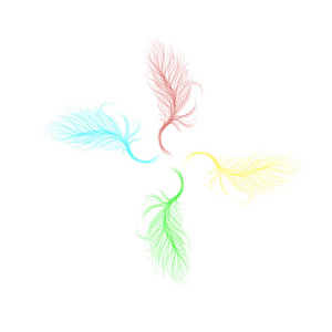 画出的线条的 feathers.vector 图