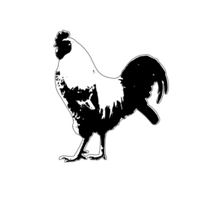 cock.vector 图的轮廓