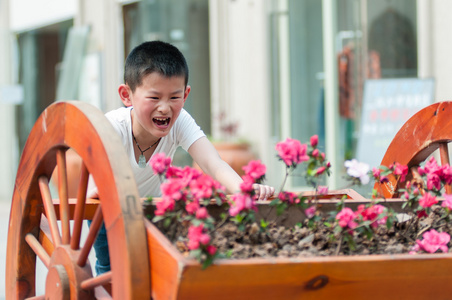 学校花坛图片 学校花坛素材 学校花坛插画 摄图新视界