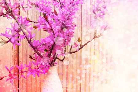 美丽的春天背景与粉色的花