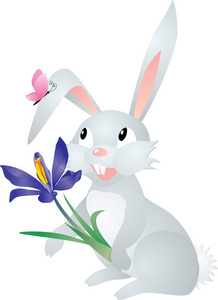 灰色兔子与花