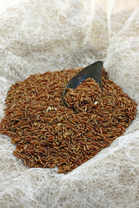 棕色 ermes 水稻