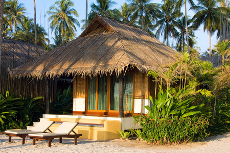 美丽的热带海滨小屋