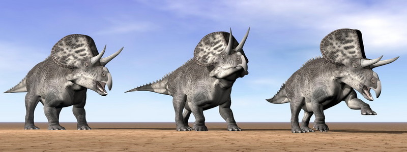 zuniceratops 恐龙在沙漠3d 渲染