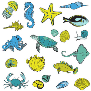 海洋生命动物手中矢量绘制的集合