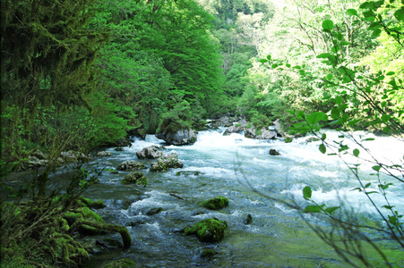 在阿布哈兹山区河流